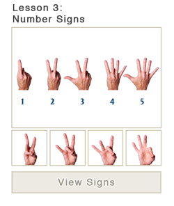 Number Signs