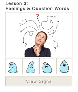 Lesson 3: Feelings & Question Words